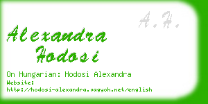 alexandra hodosi business card